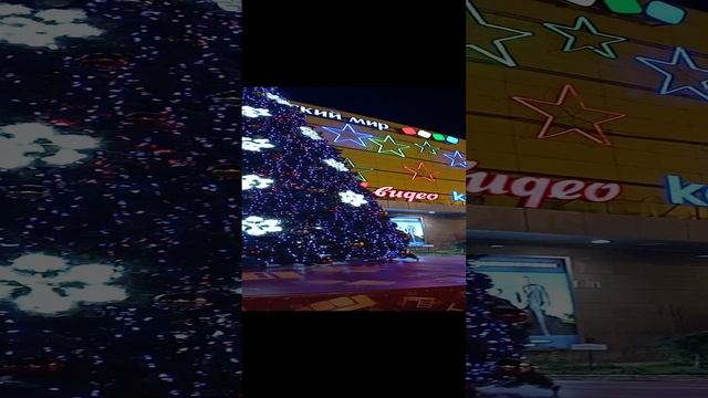 1000341594.mp4