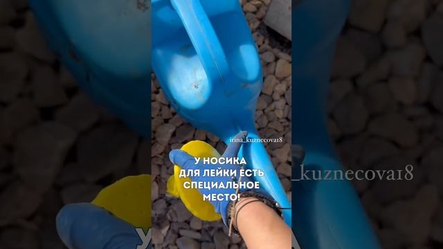 Я после этого видео купил дачу, чтобы проверить лейку)