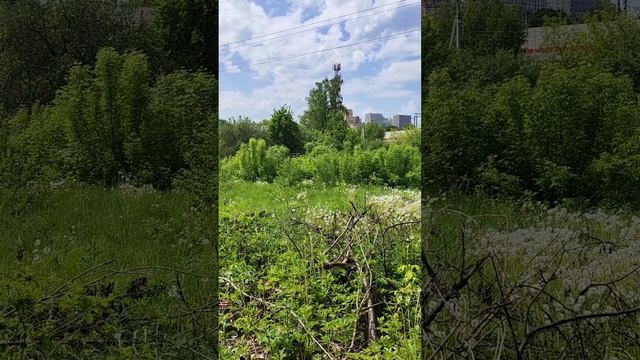ОДИНЦОВО 6 СОТОК ИЖС