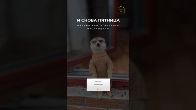 Поздравляем всех заказчиков и друзей с пятницей! #пятница #выходные #shorts #топ #топы_видео