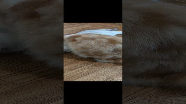 это любовь