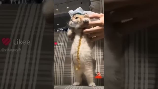 1000002705.mp4