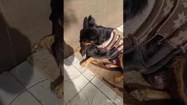 Не все мамы такие...
