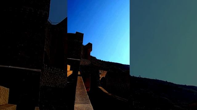 День глазами фотографа
