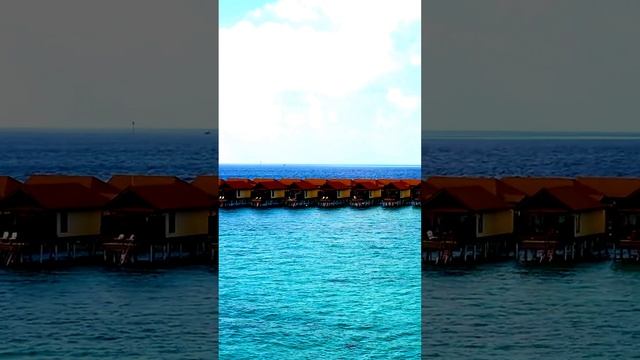 Обыденное в деталях