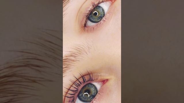 Ламинирование ресниц и бровей в Гурьевске