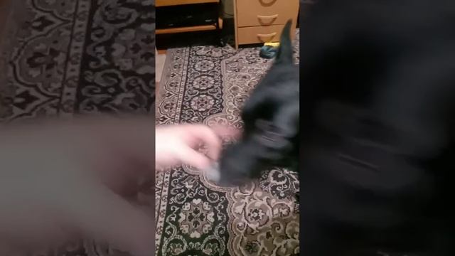 Играться хочется, а отдавать игрушку с каждым разом всё меньше и меньше хочется :-)