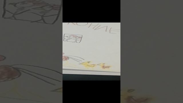 VID_20241122_212647.mp4