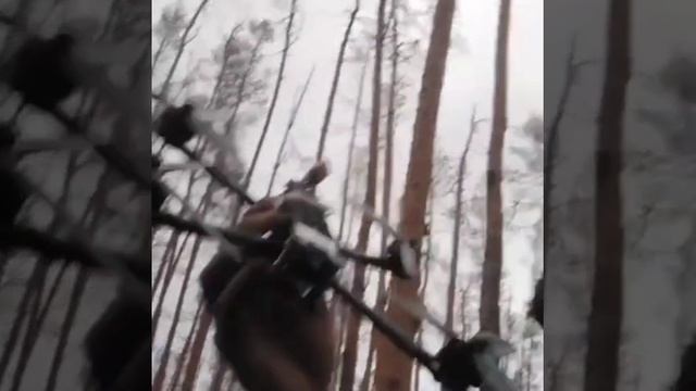 VID_20241122_210146_791.mp4