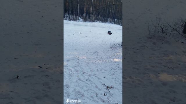 На природе 4