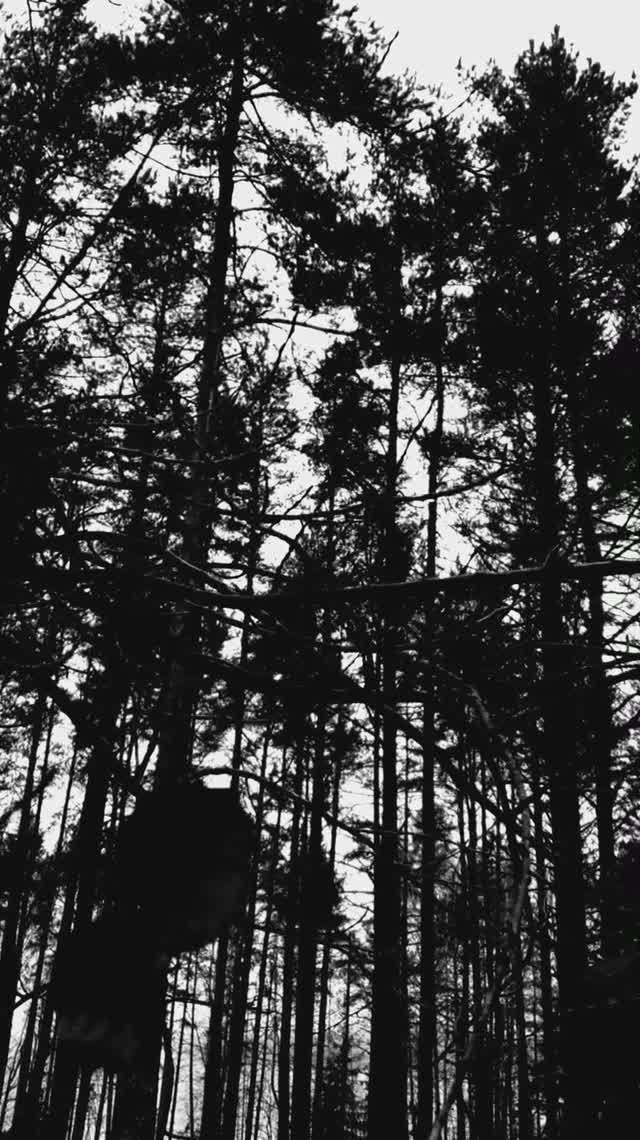 // 005