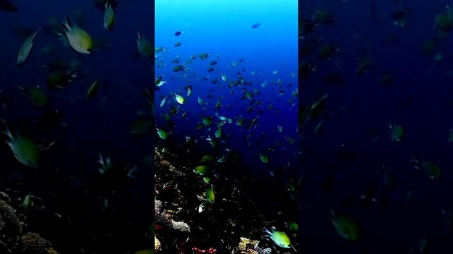 Вдохновение простотой