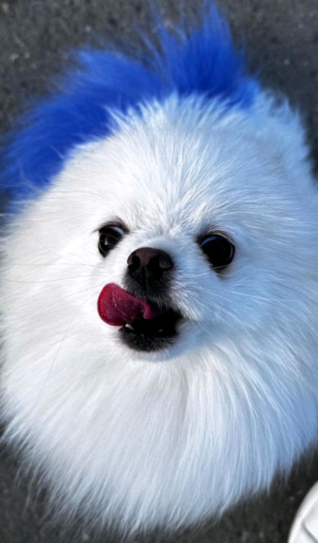 лялялял