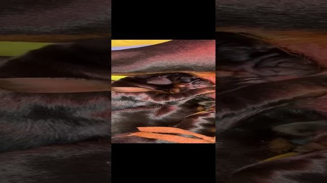 1000174932.mp4