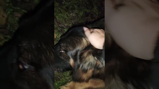 И снова про еду, лидерство и иже с ними