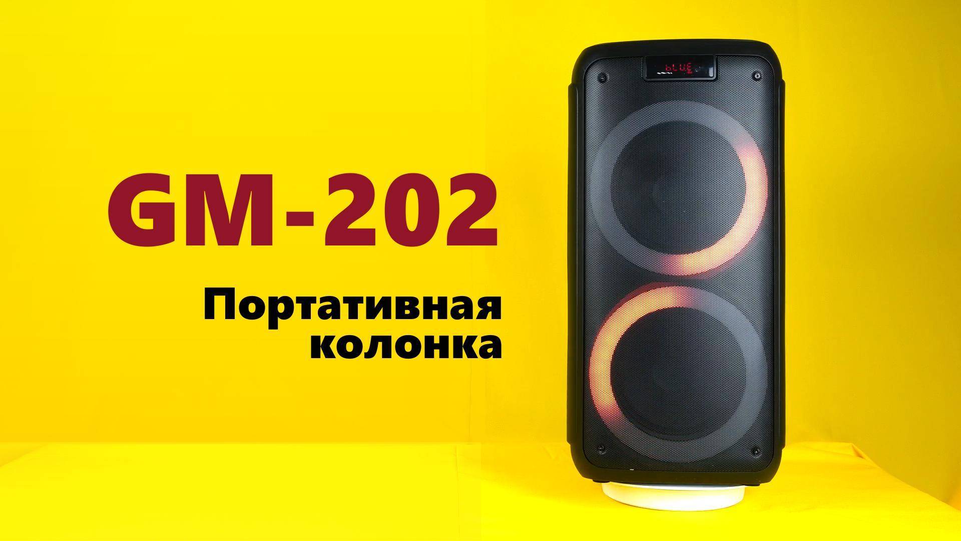 Обзор Midi-системы Ginzzu GM-202