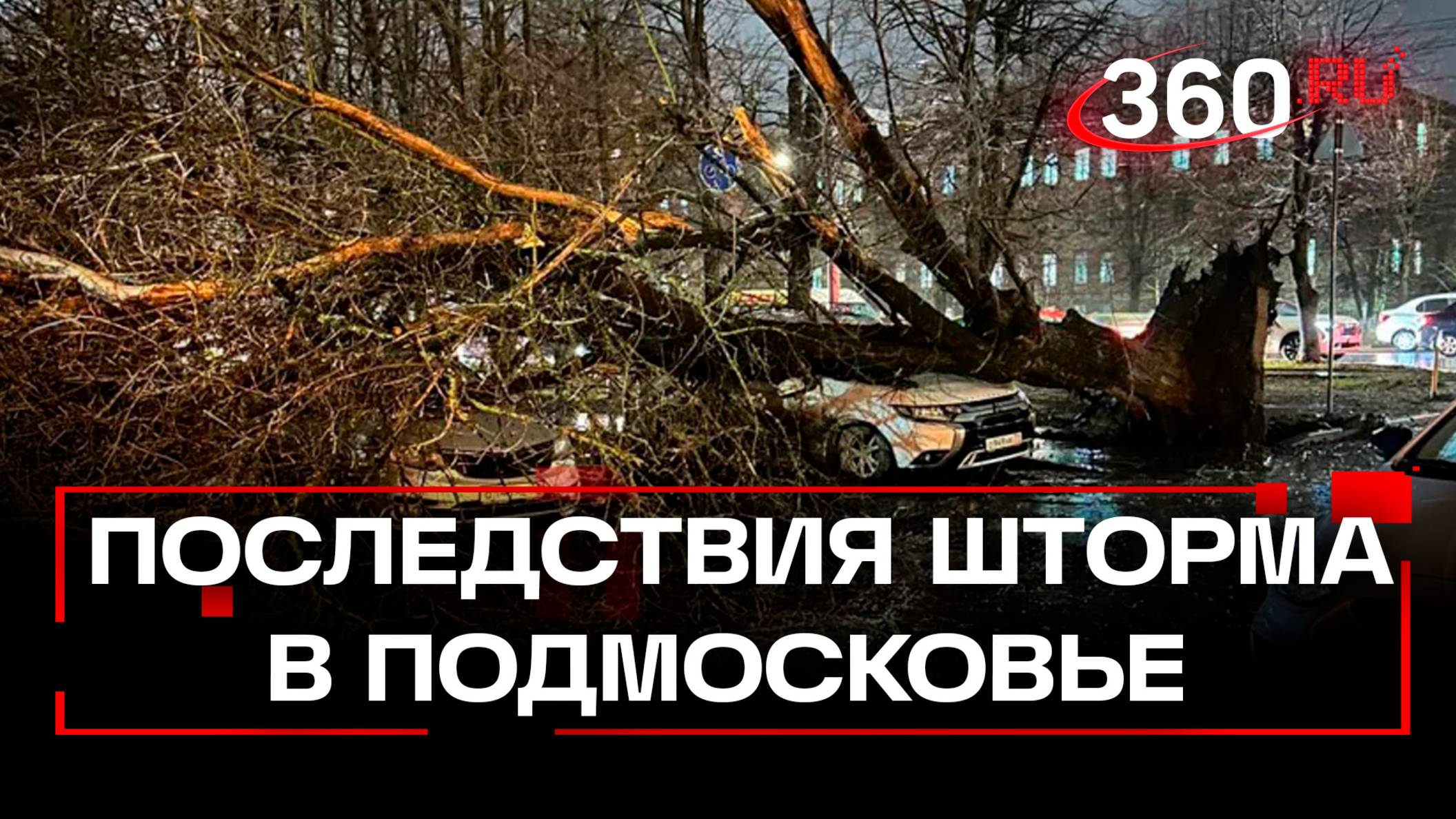 Жертвы и десятки поваленных деревьев: в Подмосковье устраняют последствия шторма