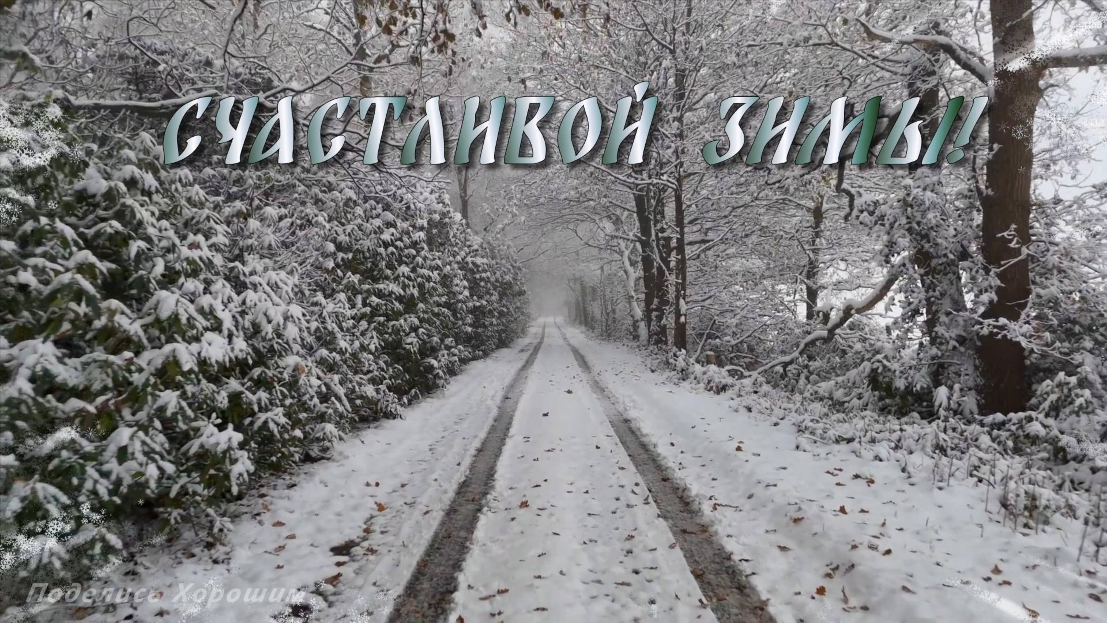 Счастливой Зимы! Музыкальная открытка ❄❄❄