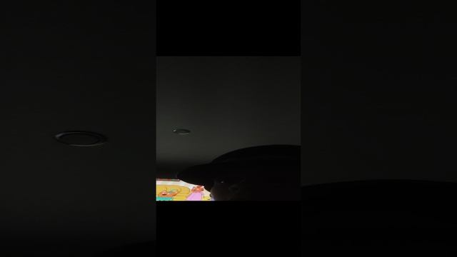 VID_20241122_213701.mp4