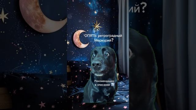 Ретроградный Меркурий 😈