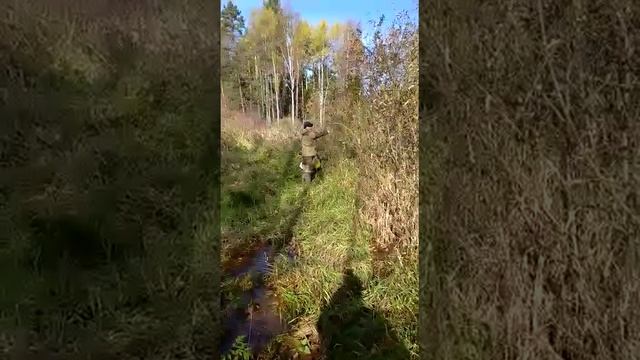 За калиной