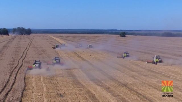 Комбайны CLAAS на полях Тамбовской области