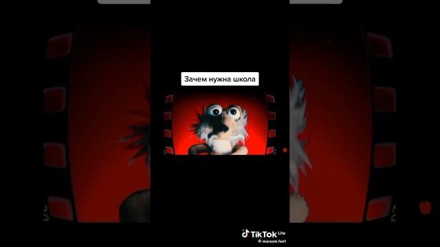 1000033019.mp4