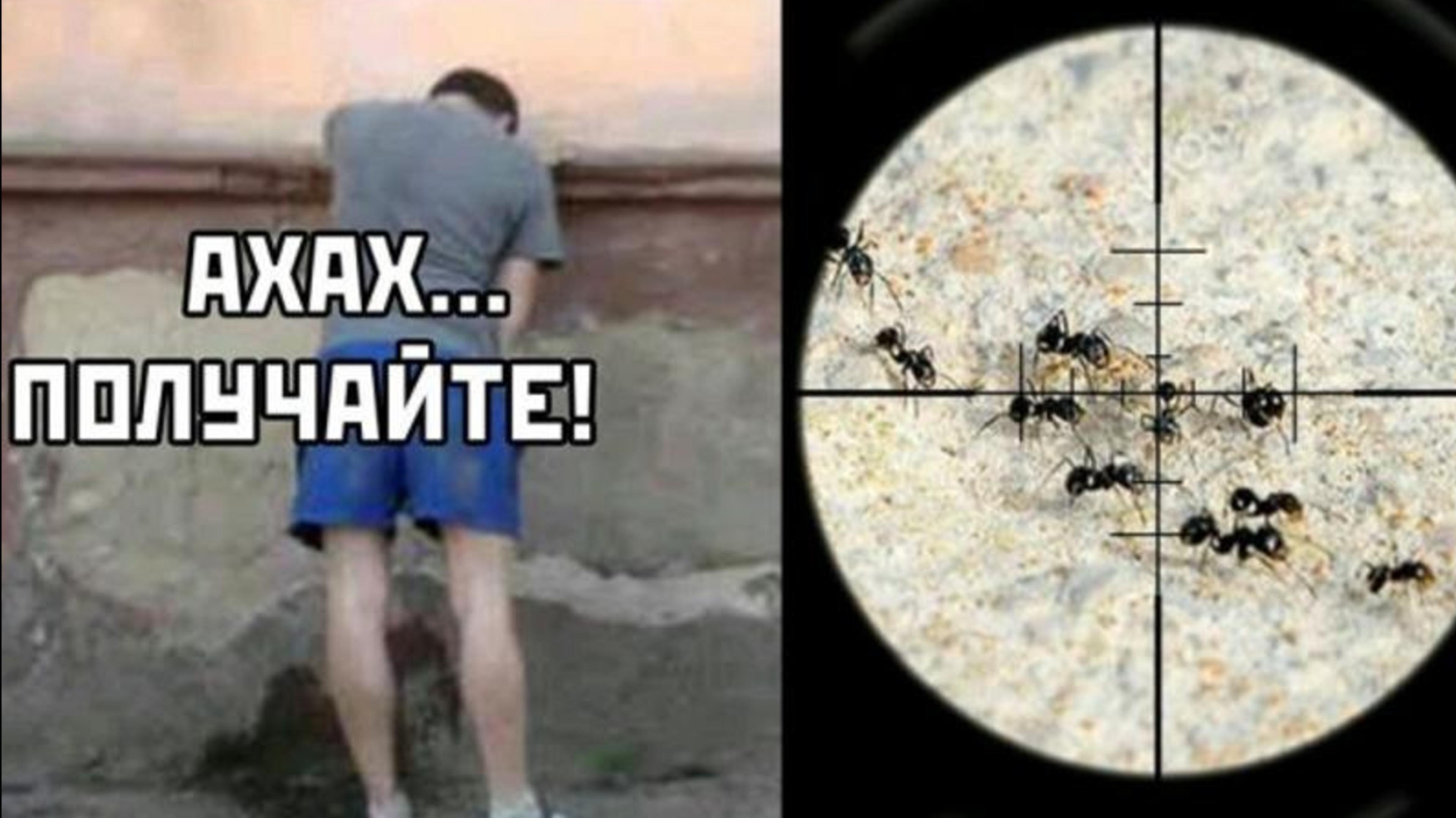 мемы