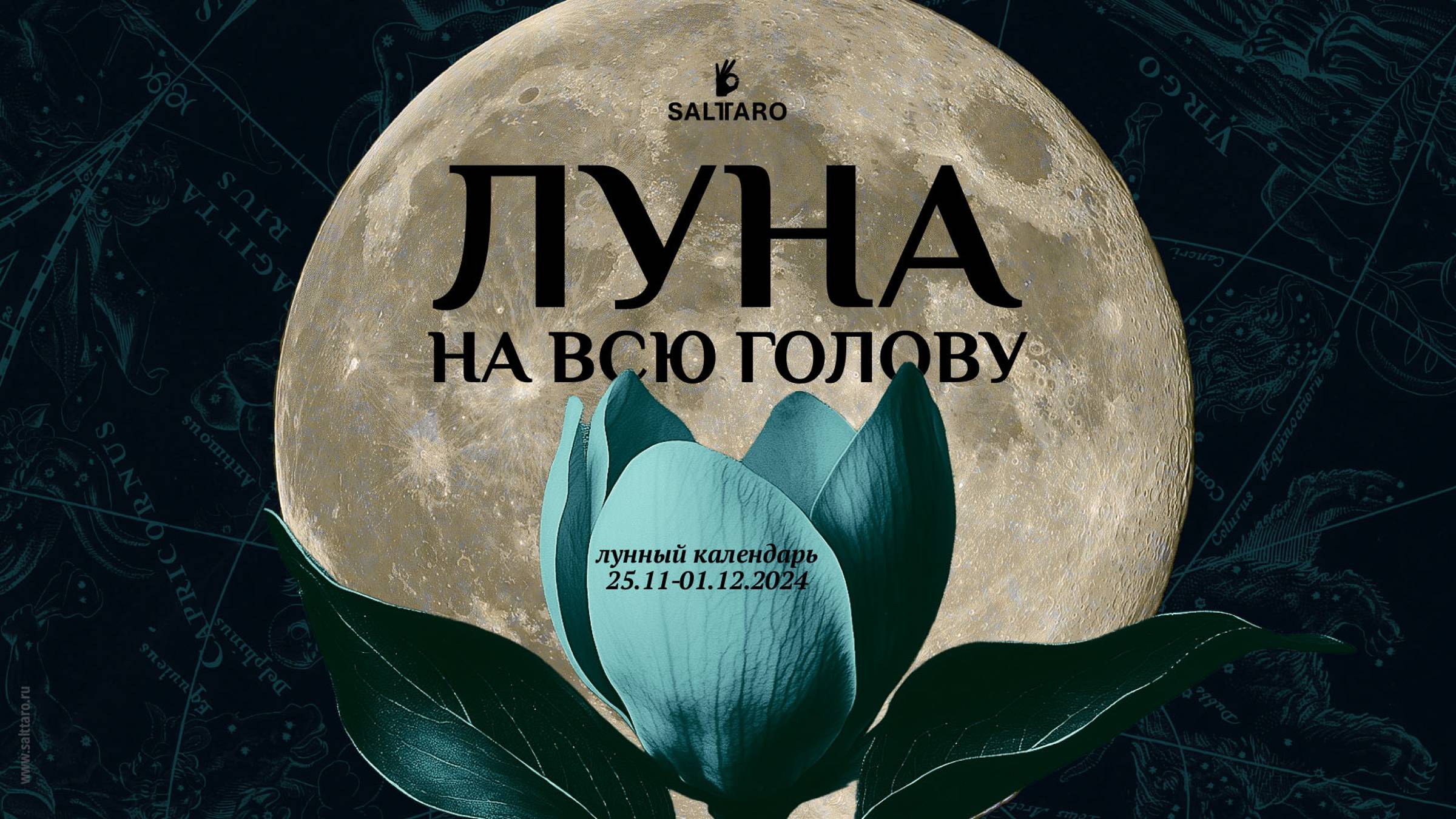 Лунный календарь 25 ноября - 01 декабря 2024, прогноз от школы Соль Таро