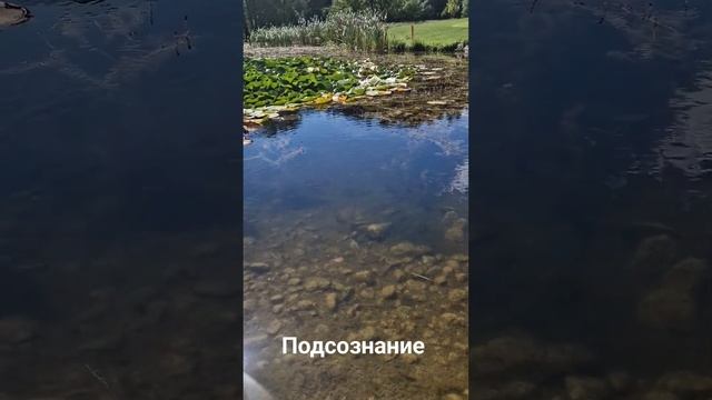 8 января 2024 г.