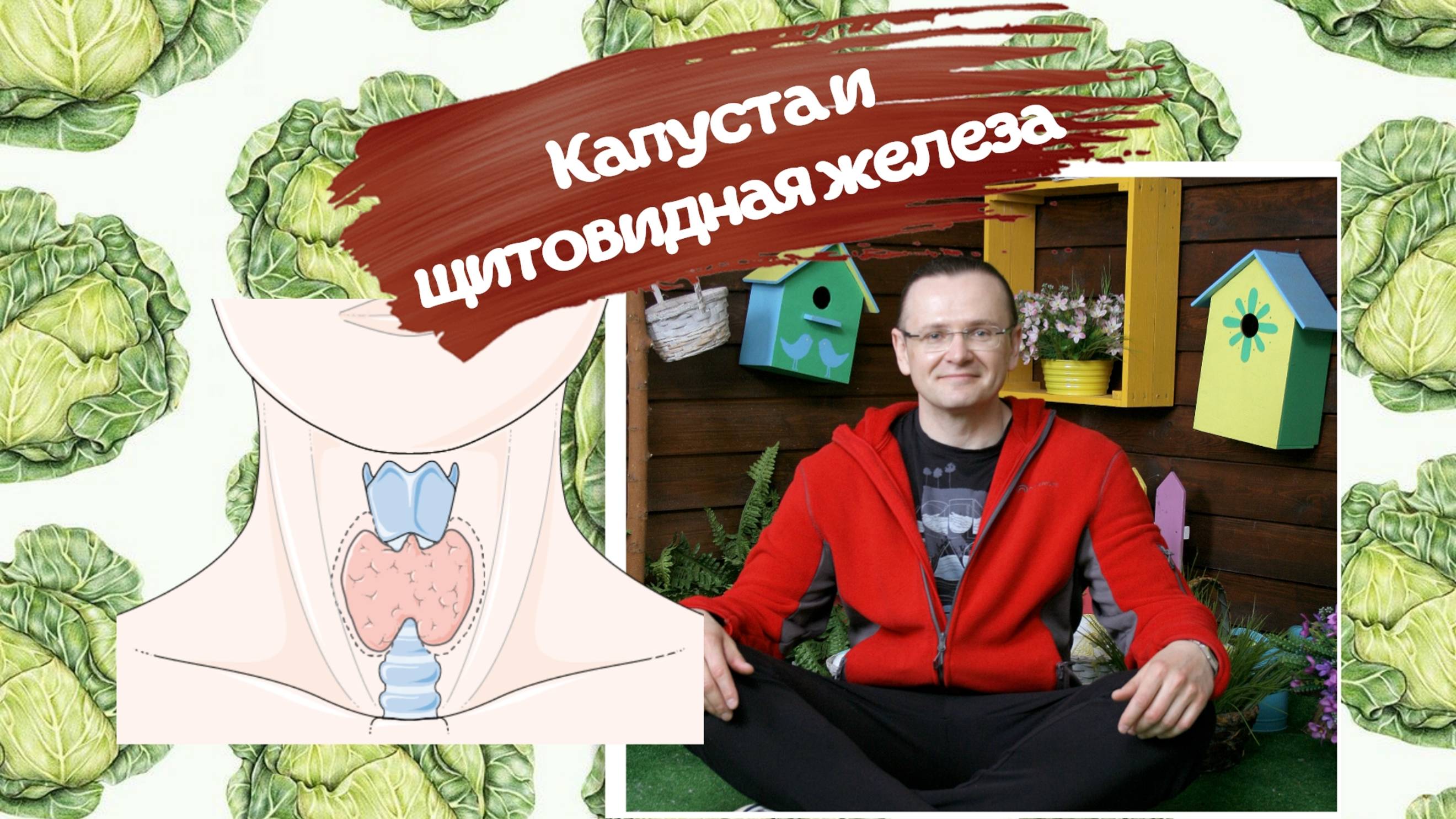Капуста и Щитовидная железа