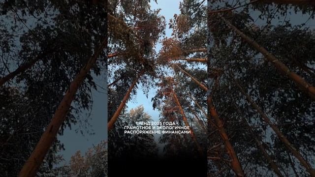 Тренд 2025 года — грамотное и экологичное распоряжение финансами