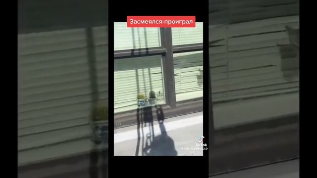 мемы каие то смешными стали 😂😂 🤣🤣