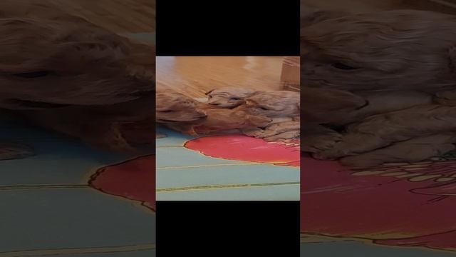 1000002572.mp4