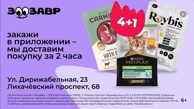 ТРАНСМЕДИА - Зоозавр