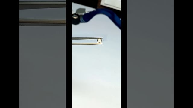 Видео без названия — сделано в Clipchamp - 2024-11-22T140402.285
