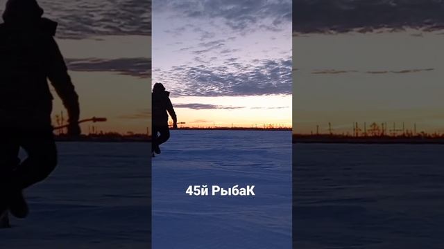 45й РыбаК #shorts