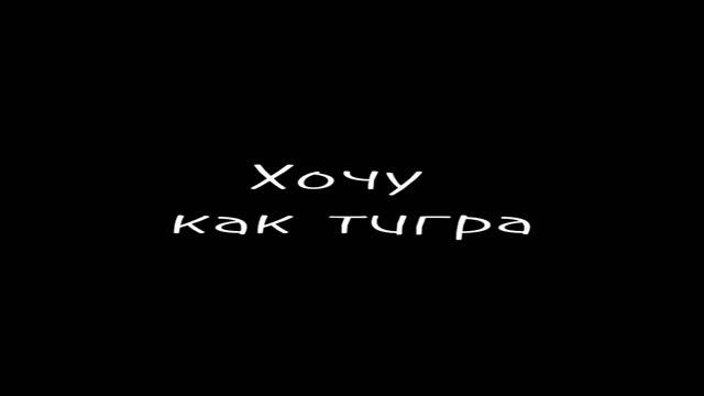 Котики из приюта.mp4