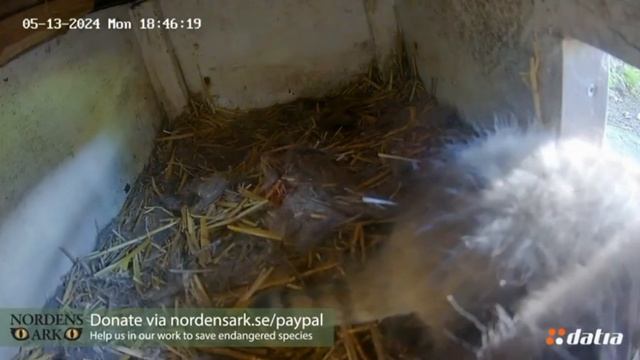 Дома никого :)