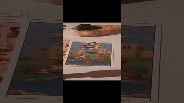 20241122_210458.mp4  Кто в радости, кто в печали