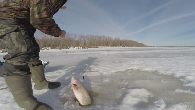 Зимняя (весенняя) рыбалка в Сибири 14