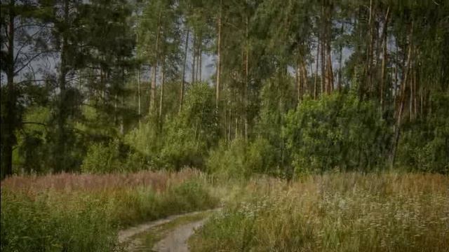 Вероника Тушнова. Стихи.Все в доме влажно и уныло1