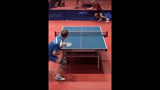 Настольный теннис