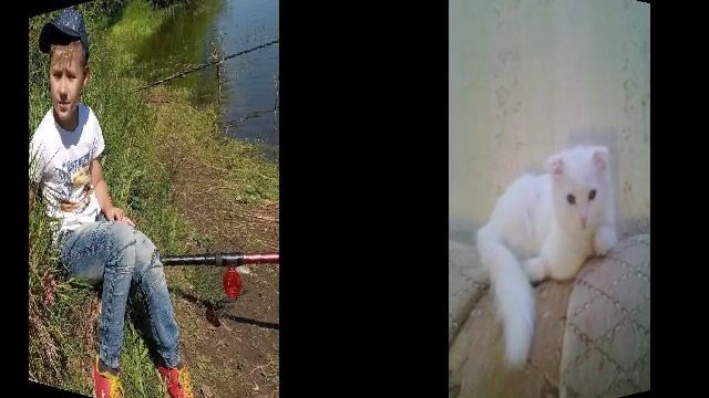 1000236147.mp4