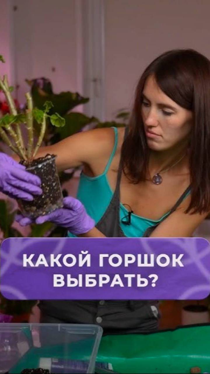 Почему ваше растение гниет？#растения #садоводство