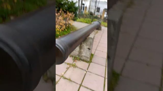 scene_output.mp4