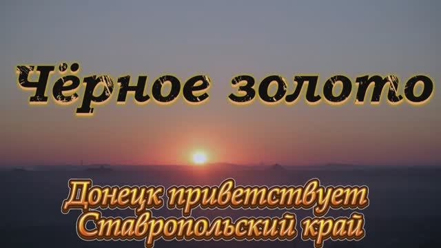 Черное золото