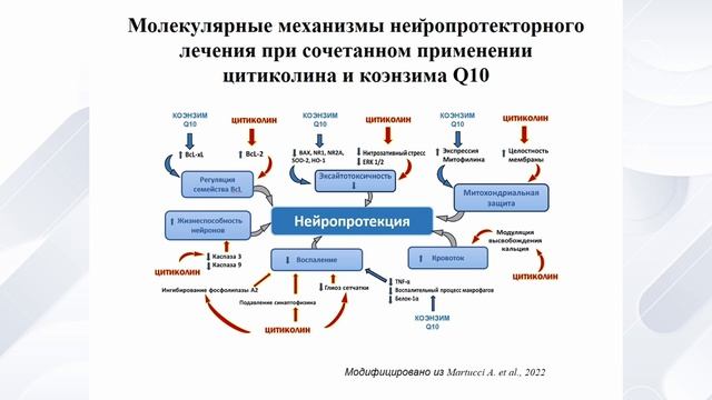Нейропротекторное лечение с позиции 3-П медицины. Курышева Н.И., Россия