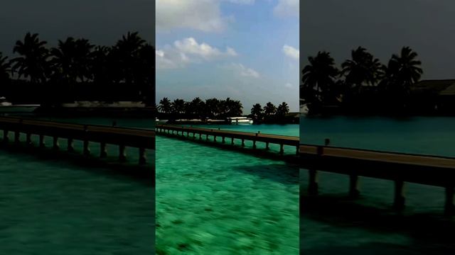 Красота в мелочах