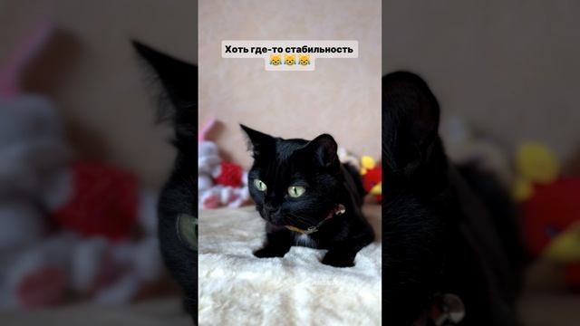 Согласны?😹